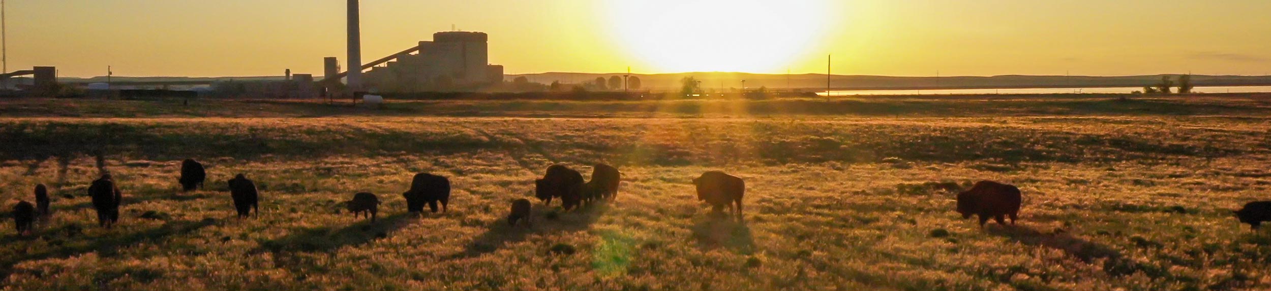 environmental-stewardship-platte-river-power-authority