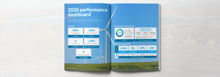 Platte River Board approves strategic budget