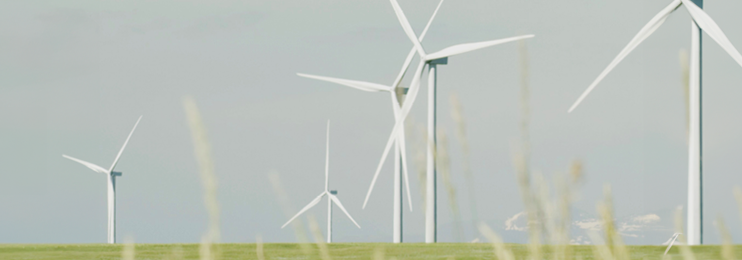 Built on foresight: The wind project that came first